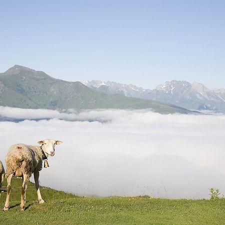 Hotel Le Viscos Saint-Savin  Екстериор снимка